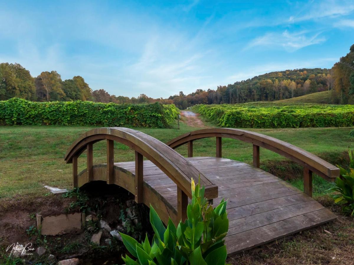 בלו רידג' Log Cabin With Mountain View And Privacy מראה חיצוני תמונה