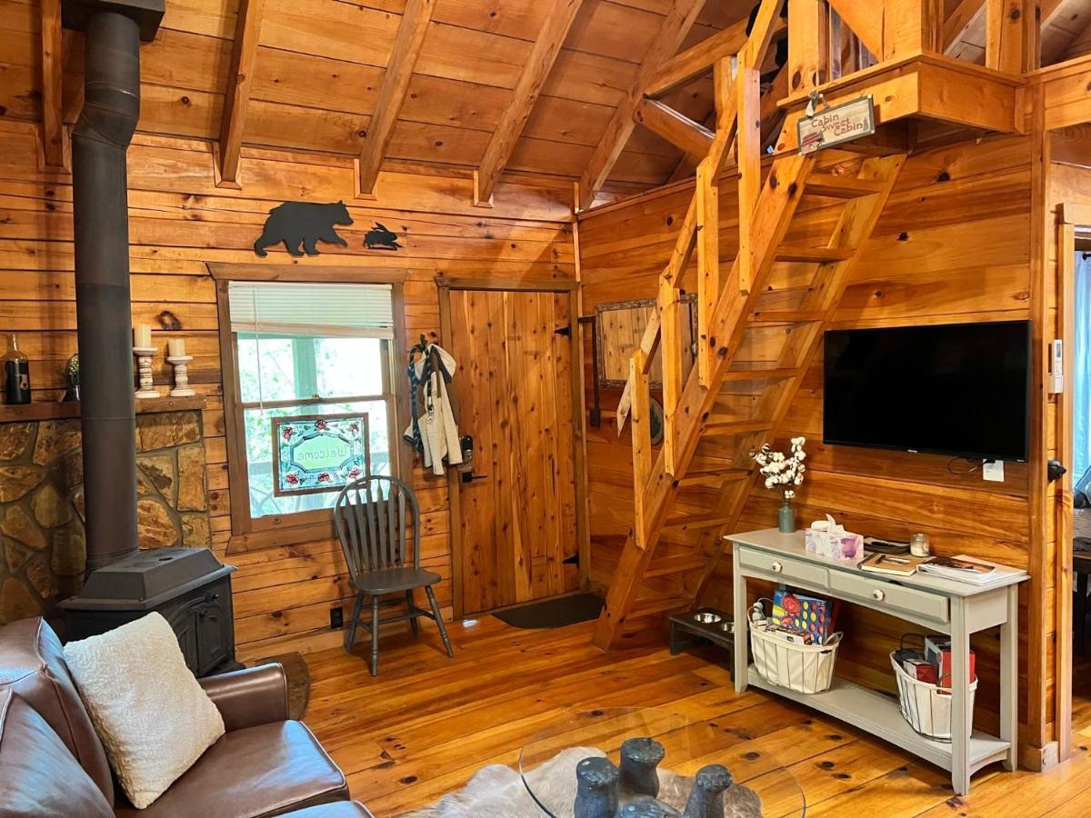 בלו רידג' Log Cabin With Mountain View And Privacy מראה חיצוני תמונה