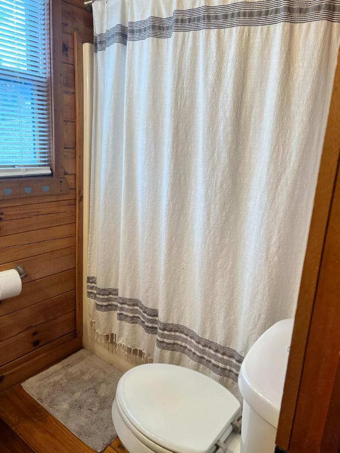 בלו רידג' Log Cabin With Mountain View And Privacy מראה חיצוני תמונה