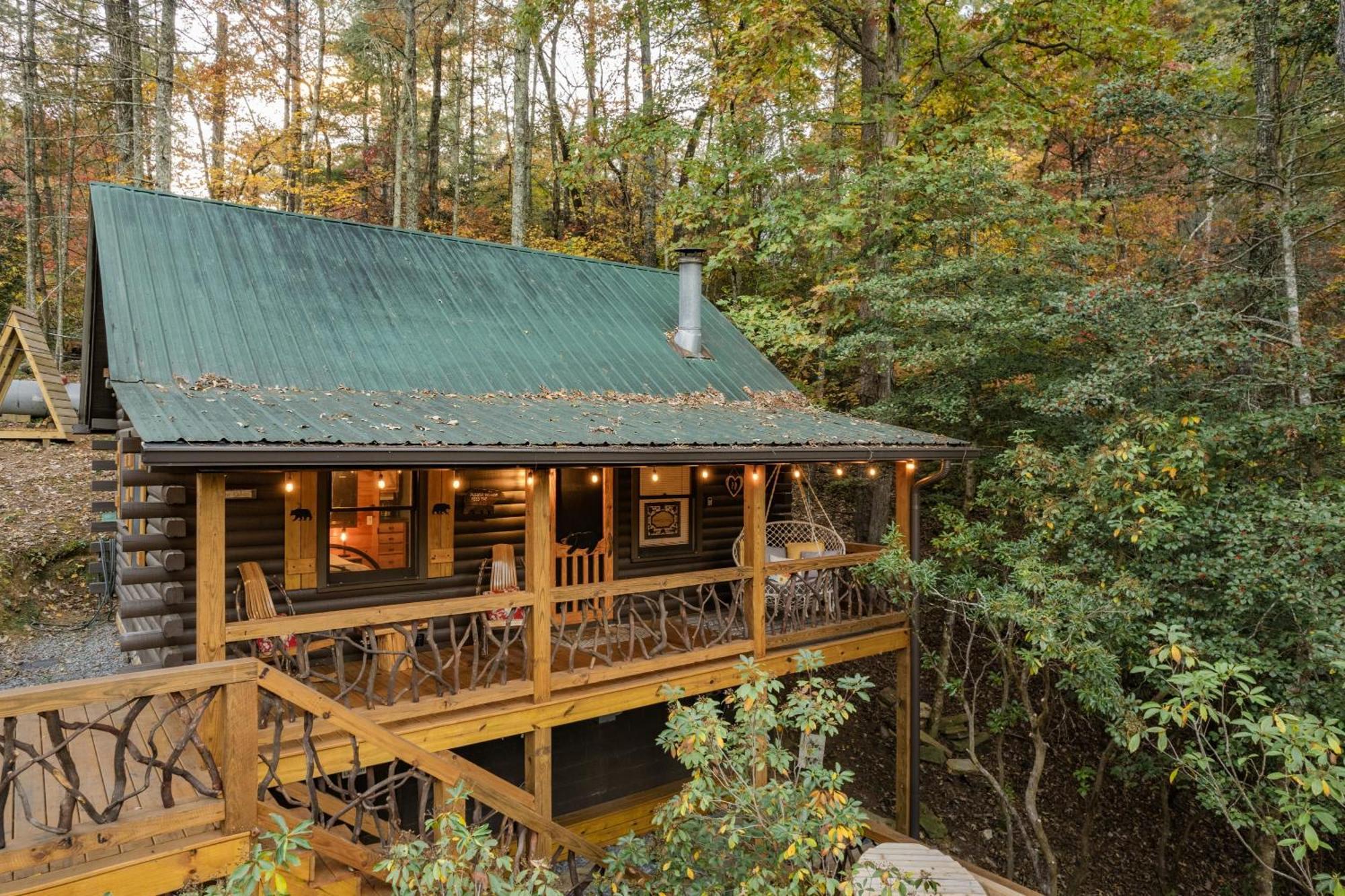בלו רידג' Log Cabin With Mountain View And Privacy מראה חיצוני תמונה