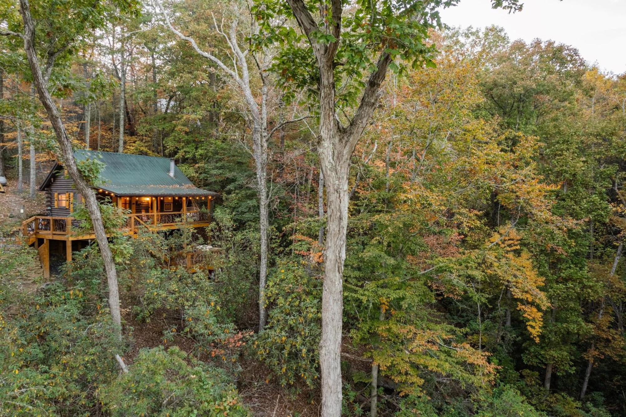 בלו רידג' Log Cabin With Mountain View And Privacy מראה חיצוני תמונה